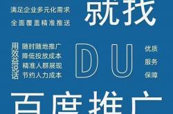 确山县百度网站优化推广