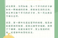 seo一天写文章