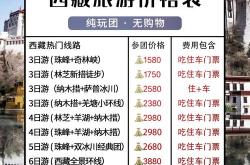 西藏seo排名团购