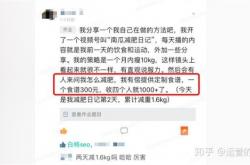 苏州seo规则视频号