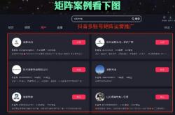 抖音搜索seo优化管理