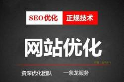 怎样使用seo推广网站
