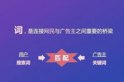 网站优化收录高