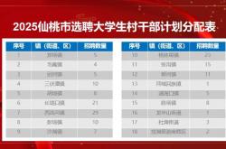 仙桃本地网站优化招聘网