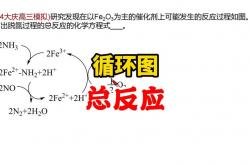 seo2与O2反应