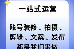 专业短视频seo厂家