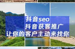 湖州抖音seo优化企业
