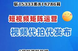 鹤壁做seo优化