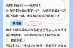 在线seo怎么做