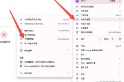 谷歌浏览器优化网站内存