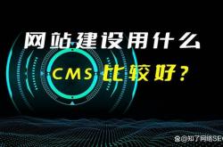 东莞seo建站收费