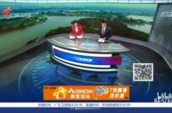 广东seo视频
