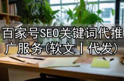 老张seo优化