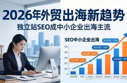 厦门seo外包代理