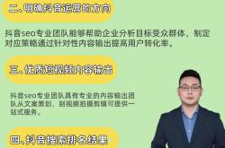 交城抖音seo优化团队