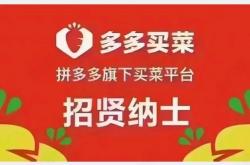 郸城网站优化招聘信息网