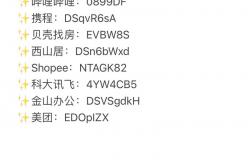 微盘seo实战密码