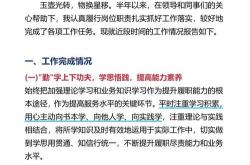 seo工作总结不足