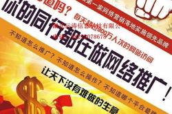 广水短视频seo