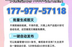 seo挑选的简单介绍