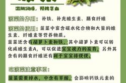 菠菜seo重点需要掌握哪些
