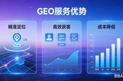 浙江seo推广案例