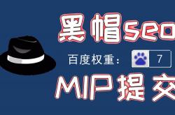 seo黑冒教程