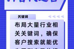 抖音seo招代理