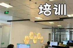 朔州抖音seo运营公司