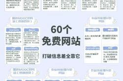 母婴行业网站seo案例
