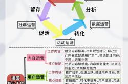 seo网络精准营销运营方案