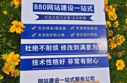 大泉州网站优化推广