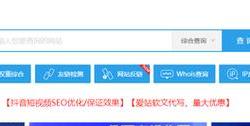 seo怎么查收录量