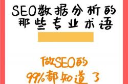 新手seo数据分析运营
