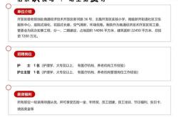 聊城网站优化企业招聘