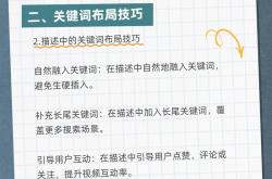 网站seo关键词排名