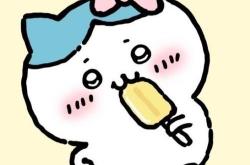 优化网站认可c火17星热情