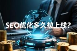 全新seo服务上线多久