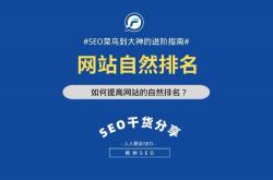 青海seo排名价格多少
