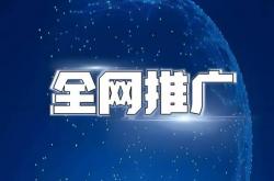 平舆seo网络推广引流