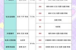短视频seo排名收费