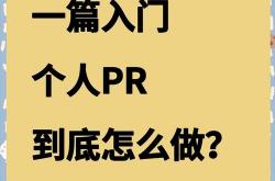 seo中简述什么是pr
