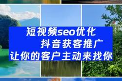 免费seo视频教程