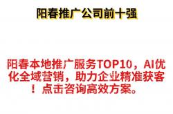 阳春seo优化推广软件