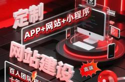 如何做网站推广优化开发