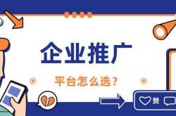 新seo软文