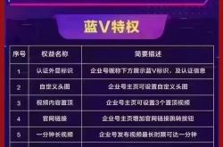 大庆seo推广推荐