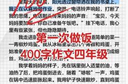 做SEO的感受