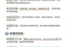 岳阳seo优化标题