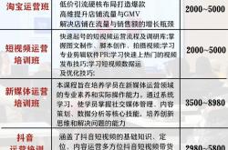 seo网络投放费用